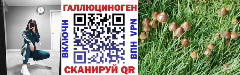 купить наркотики цена  Ливны  Псилоцибиновые грибы Psilocybine cubensis 